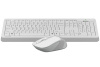 A4Tech Fstyler FG1010 002