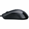 image (7)
