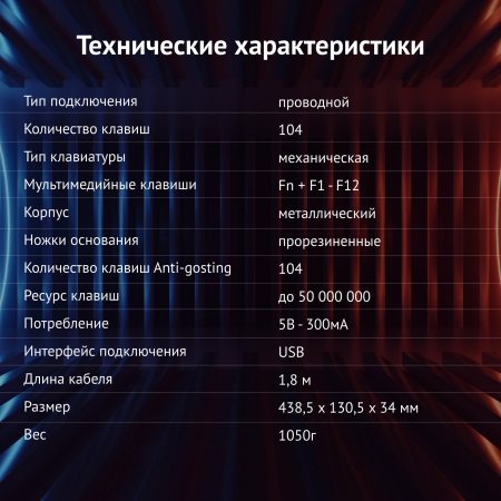 image - 2024-06-11T121239.300