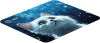 image - 2024-10-01T121725.332