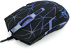 image (3)