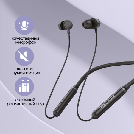 WALKER WBT-25 004