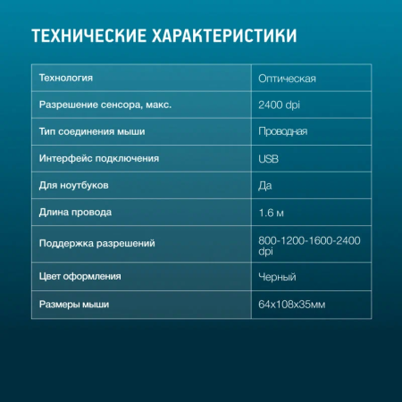 310M 006